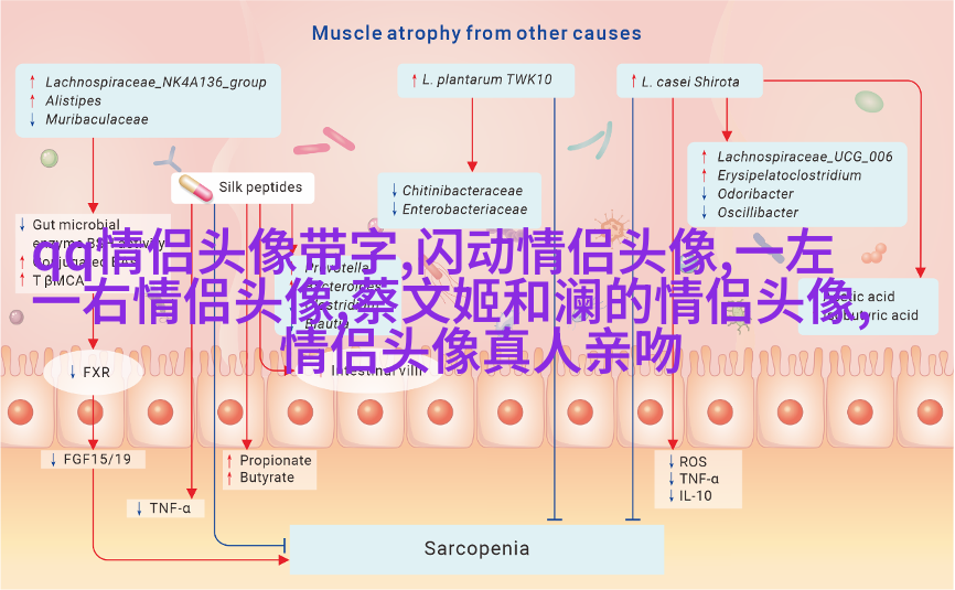 qq头像情侣单人一男一女高清图片大全(优选16张)